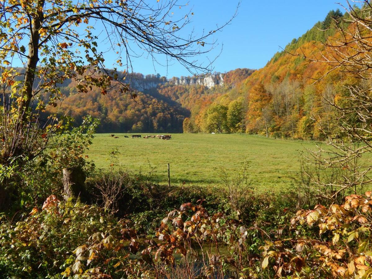 Free Apartment - Bei Den Thermen Bad Urach Esterno foto