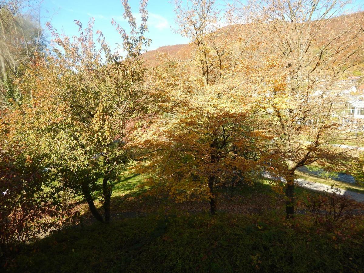 Free Apartment - Bei Den Thermen Bad Urach Esterno foto